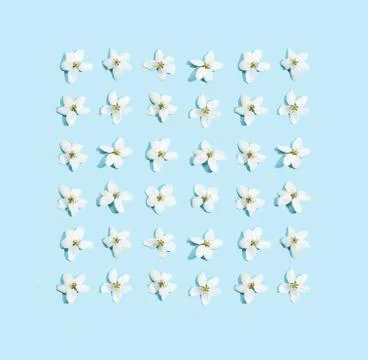 Apple tree floral pattern. Bright summer background Stock Photos