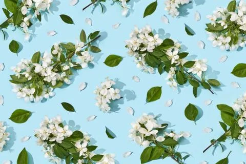 Apple tree floral pattern. Bright summer background Foto stock