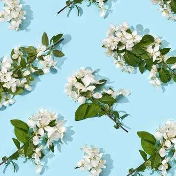Apple tree floral pattern. Bright summer background Stock Photos