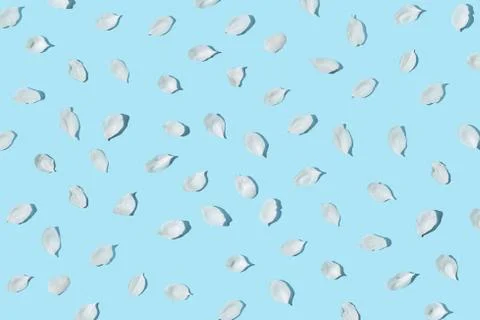 Apple tree floral pattern. Bright summer background Stock Photos