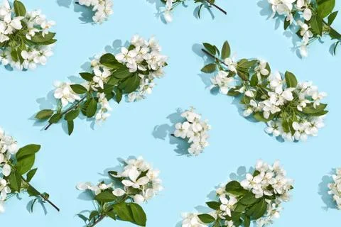 Apple tree floral pattern. Bright summer background Fotos de archivo