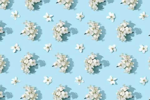 Apple tree floral pattern. Bright summer background Fotos de archivo