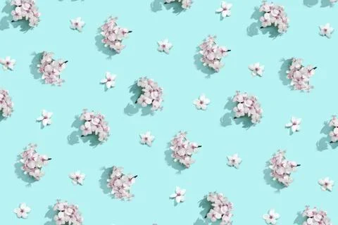 Apple tree floral pattern. Bright summer background Stock Photos