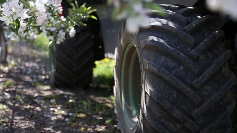 Apple tree flower blossoming at spring time, floral background. Close up for whi Stockbeeldmateriaal 129814326