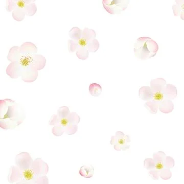 Apple tree flowers background Stock Illustration