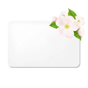 Apple tree flowers with blank gift tags Stock Illustration