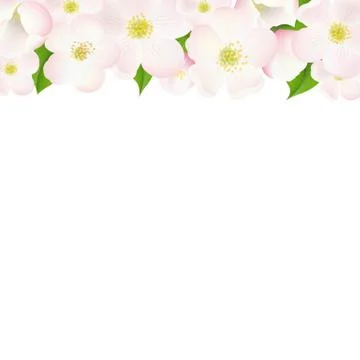 Apple tree flowers border Stock Illustration