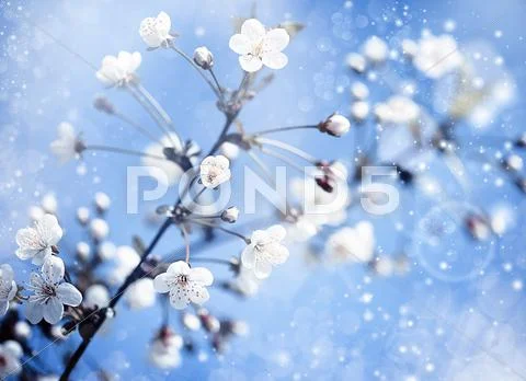 Apple tree with flowers under blue skies. optimistic abstract backgrounds Stock Illustration