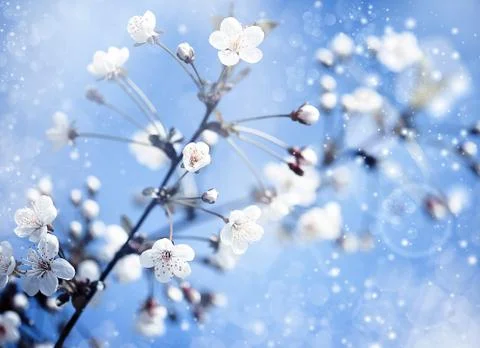 Apple tree with flowers under blue skies. optimistic abstract backgrounds Illustrazione stock