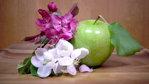 Apple tree flowers white and crimson with leaves and green ripe apple Video stock 87759224