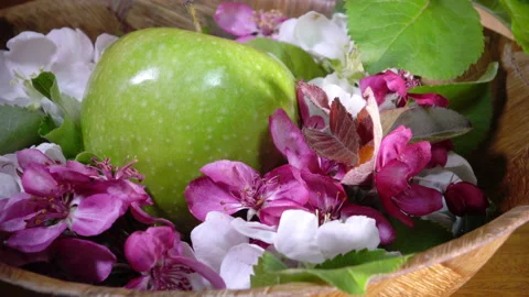Apple tree flowers white and crimson with leaves and green ripe apple Video stock 87759451