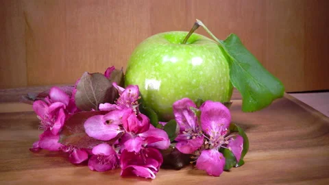 Apple tree flowers white and crimson with leaves and green ripe apple Video stock 87759925