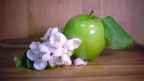Apple tree flowers white and crimson with leaves and green ripe apple Video stock 87759959