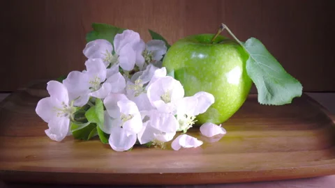 Apple tree flowers white and crimson with leaves and green ripe apple Stock Footage 87760018
