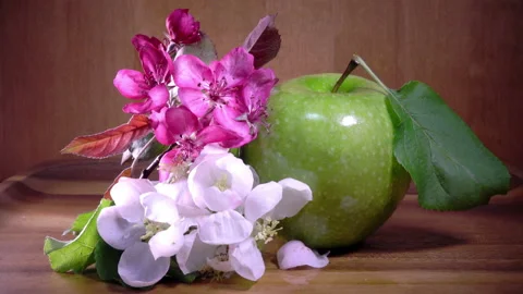 Apple tree flowers white and crimson with leaves and green ripe apple Video stock 87760031