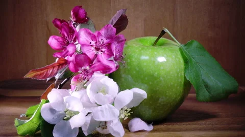 Apple tree flowers white and crimson with leaves and green ripe apple Stock Footage 88366070