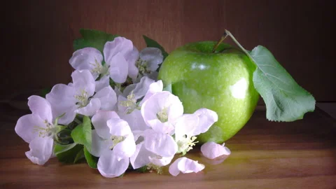 Apple tree flowers white and crimson with leaves and green ripe apple Video stock 88366158