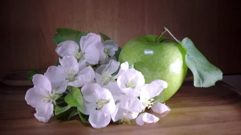 Apple tree flowers white and crimson with leaves and green ripe apple Video stock 88366193
