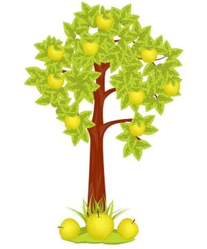 Apple tree Stock Illustration