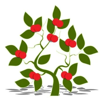 Apple tree Stock Illustration