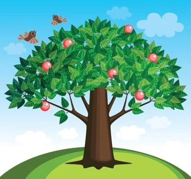 Apple tree Stock Illustration