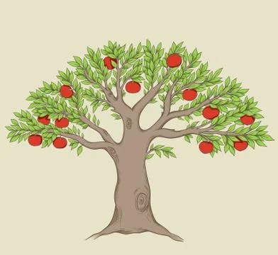 Apple tree Stock Illustration