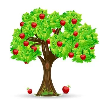 Apple tree Stock Illustration