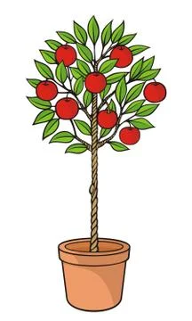 Apple tree Stock Illustration