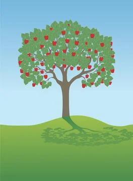 Apple Tree, illustration Illustrazione stock