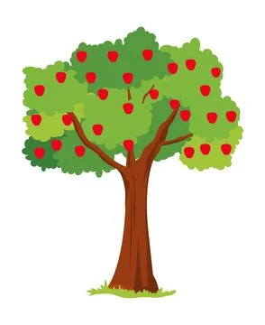 Apple tree isolated onwhite background Stock Illustration