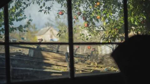 Apple tree outside shot through a window Stock Photos