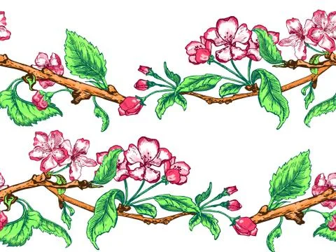 Apple tree Pattern Stock Illustration