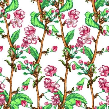 Apple tree sketch Design Stock Illustration