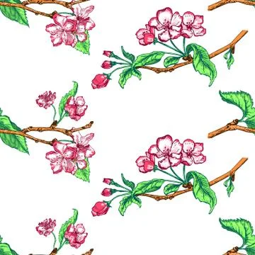 Apple tree sketch Design Stock Illustration
