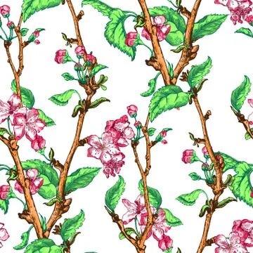 Apple tree sketch Design Stock Illustration