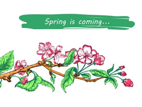 Apple tree sketch Design Stock Illustration