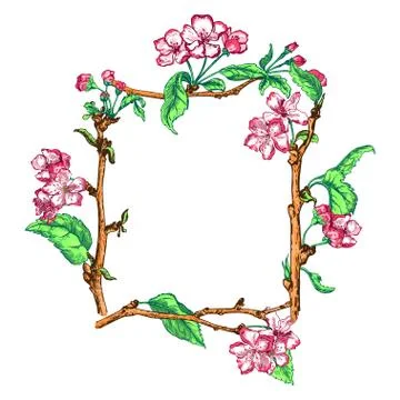 Apple tree sketch Design Stock Illustration