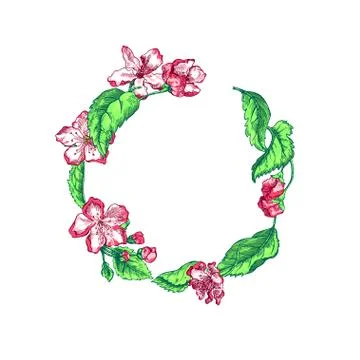 Apple tree sketch Design Stock Illustration