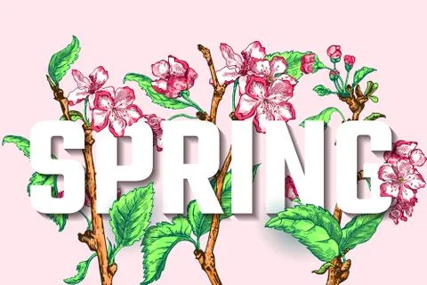 Apple tree sketch Design Stock Illustration