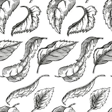 Apple tree sketch for Design Stock Illustration