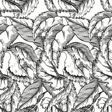 Apple tree sketch for Design Stock Illustration