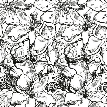 Apple tree sketch Design Stock Illustration