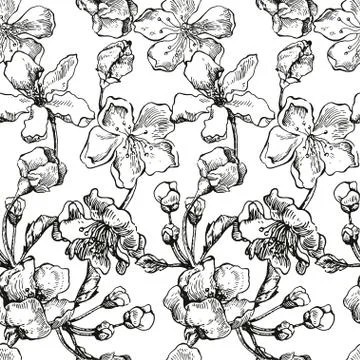 Apple tree sketch Design Stock Illustration