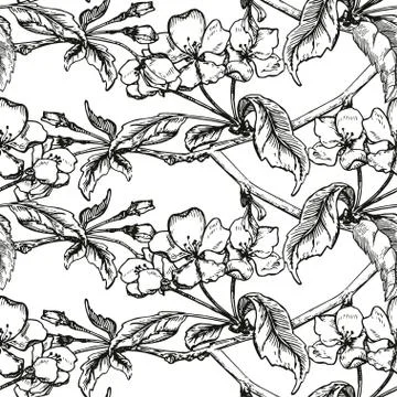 Apple tree sketch Design Stock Illustration