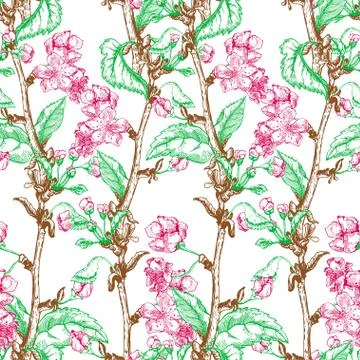 Apple tree sketch Design Stock Illustration