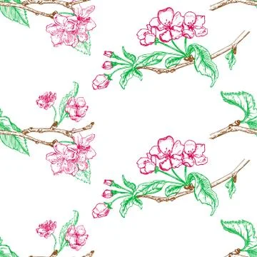 Apple tree sketch Design Stock Illustration