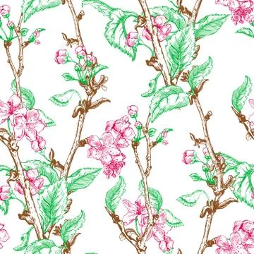 Apple tree sketch Design Stock Illustration