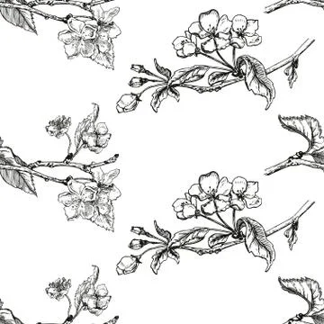 Apple tree sketch Design Stock Illustration