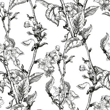 Apple tree sketch Design Stock Illustration