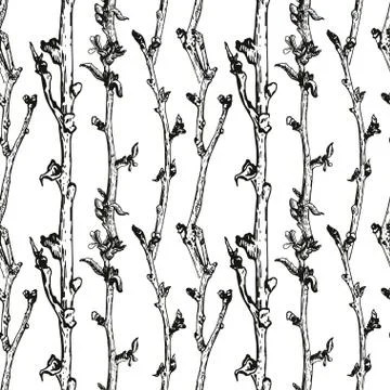 Apple tree sketch Stock Illustration